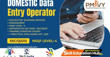 Domestic Data Entry Operator