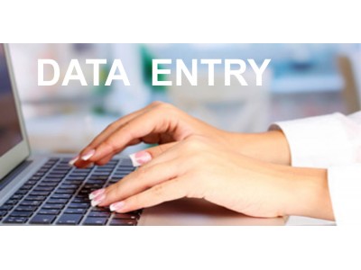 DDEO-400x300-1 DOMESTIC DATA ENTRY OPREATOR