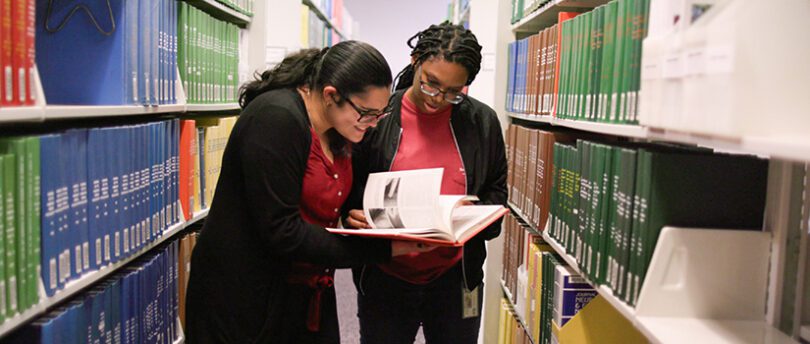 Government Job Scope for Bachelor's in Library Science