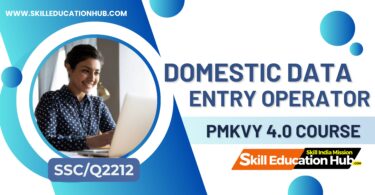 Domestic Data Entry Operator